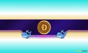 Is Dogecoin Ready to Rally?